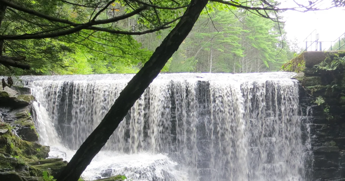 Buffam Falls Conservation Area Trail