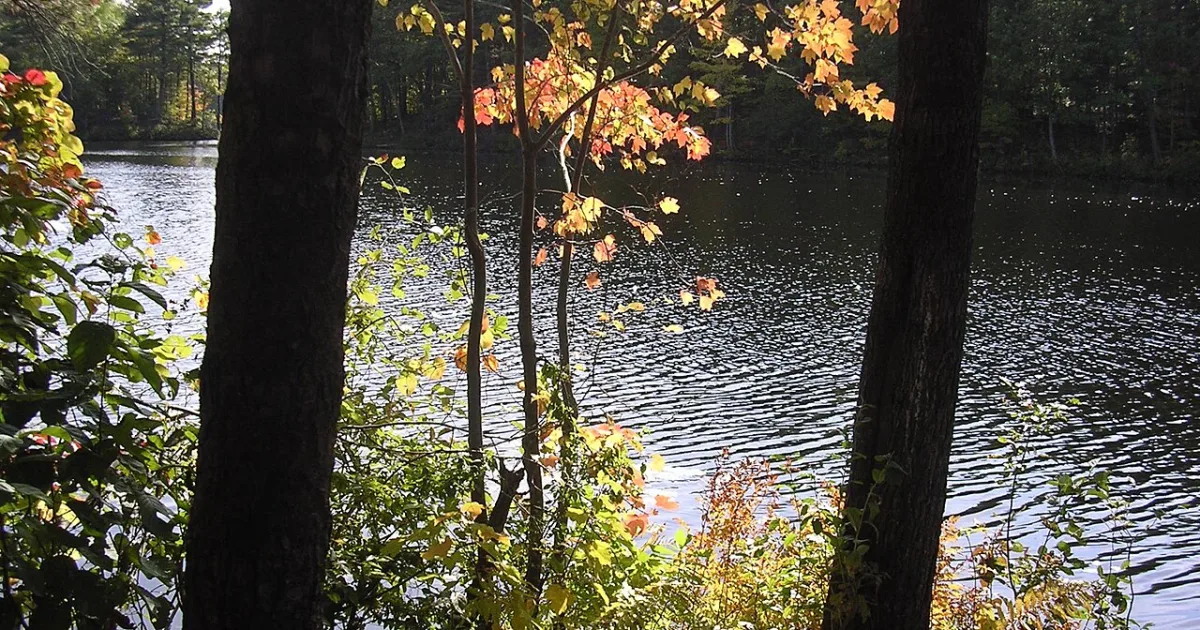 Buffumville Lake Trail