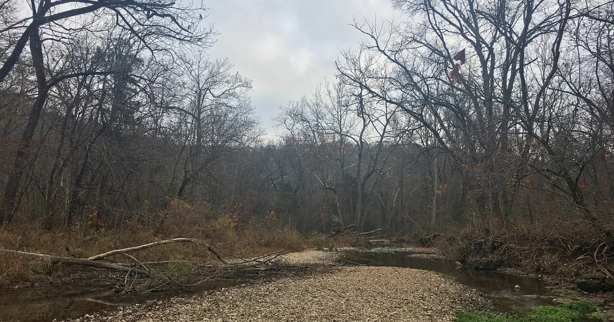 Busiek State Forest Trail