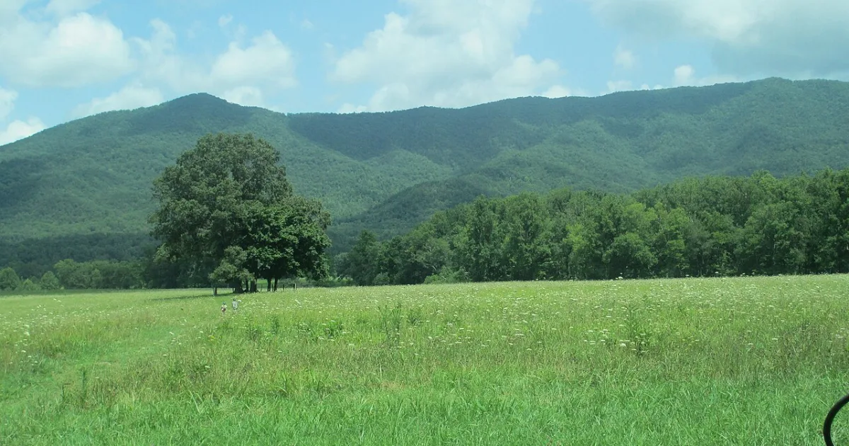 Cades Cove Loop – Nature Walk — Great Smoky Mountains NP, TN