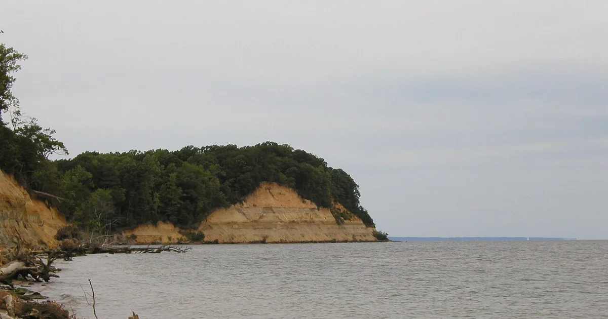 Calvert Cliffs State Park Trail