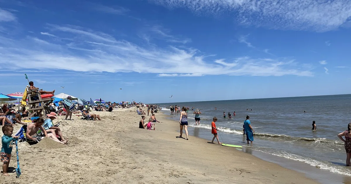 Cape Henlopen State Park Trail