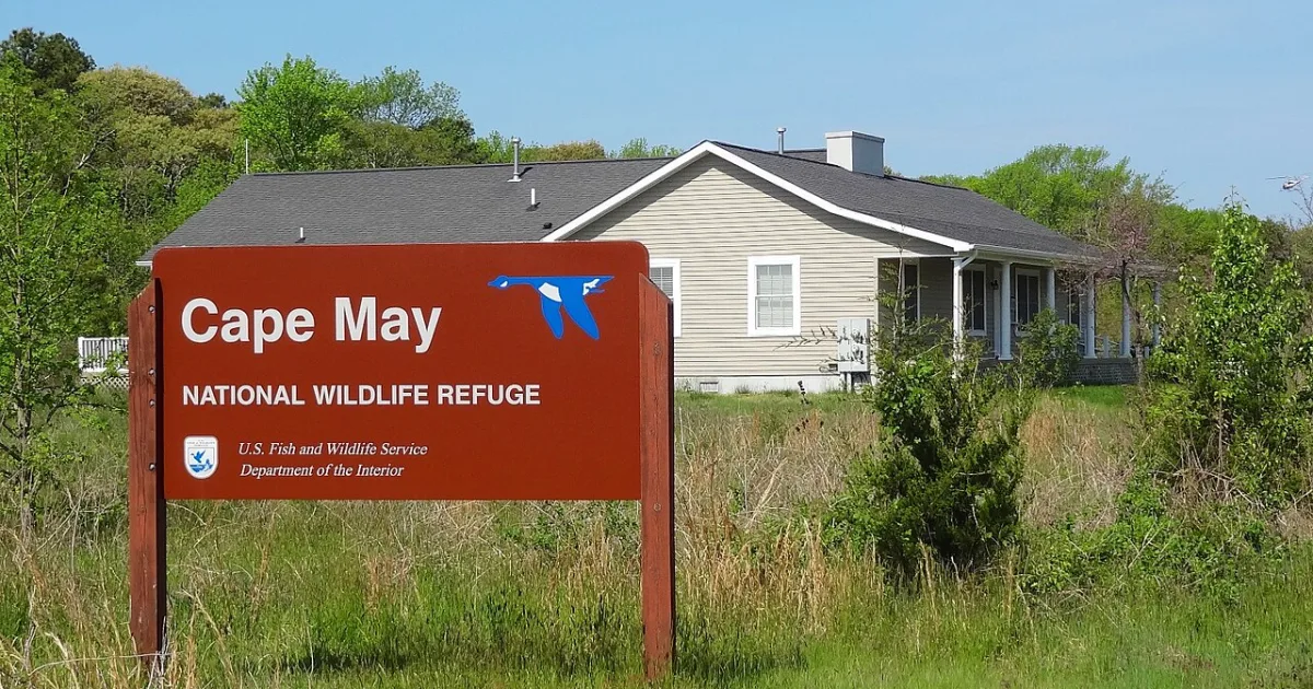 Cape May National Wildlife Refuge Trail