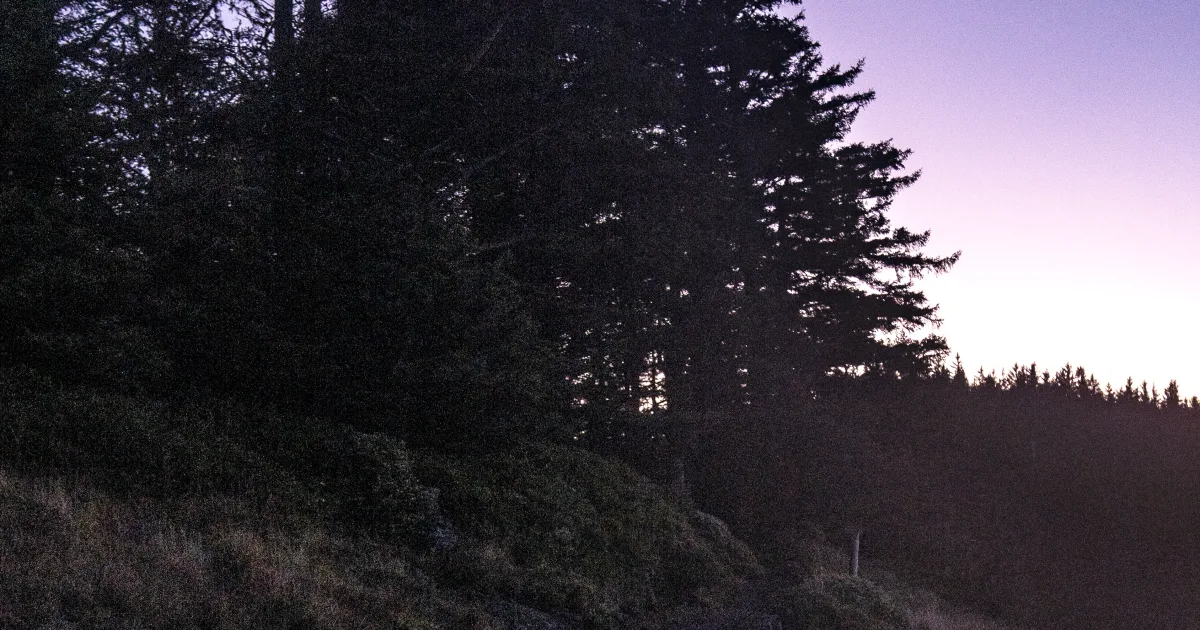 Cape Perpetua — Giant Spruce Trail