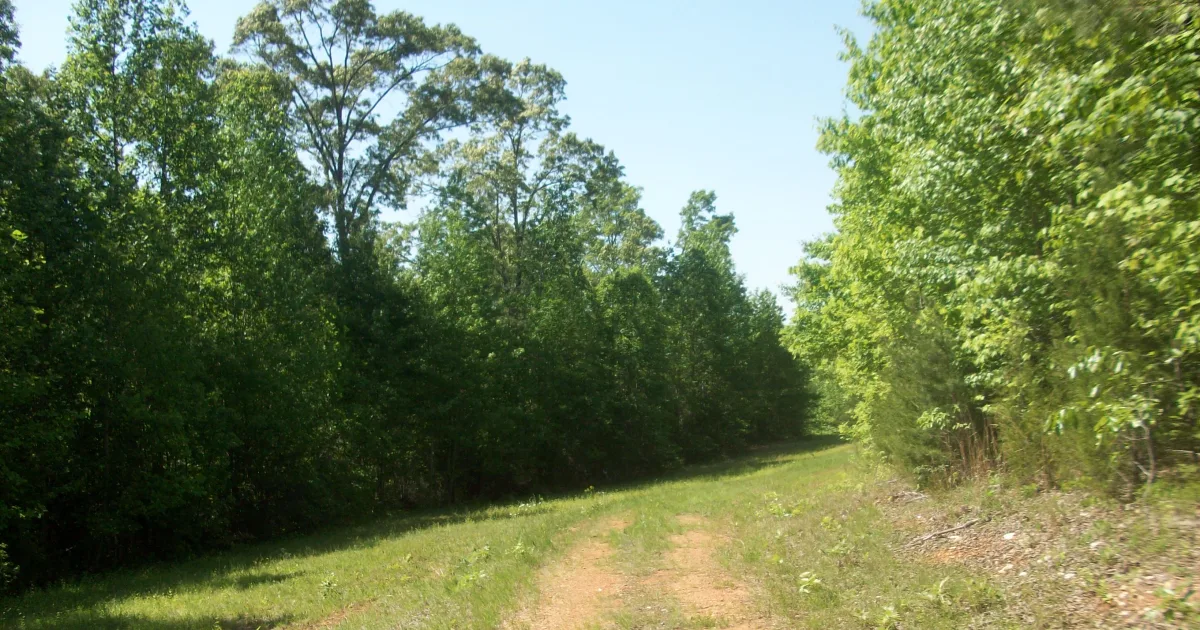 Carolina Management Area Trail