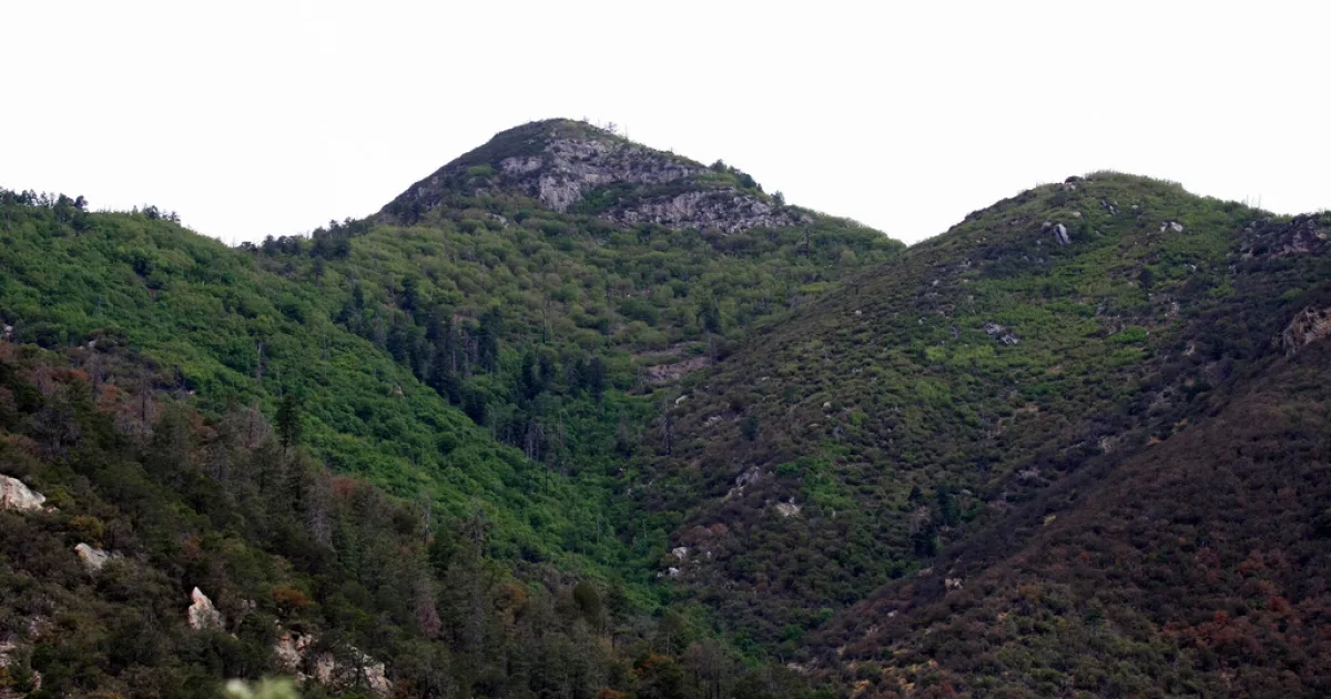 Carr Peak Trail