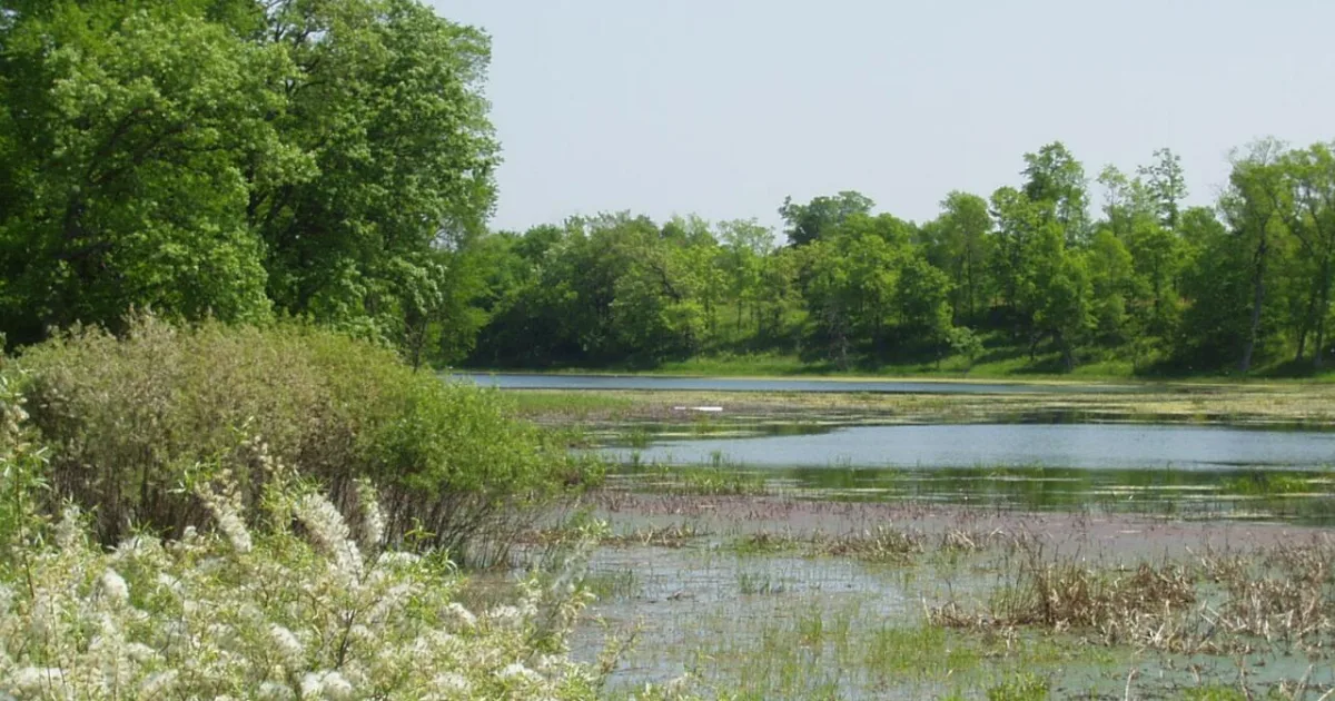 Carver Park Reserve Trail