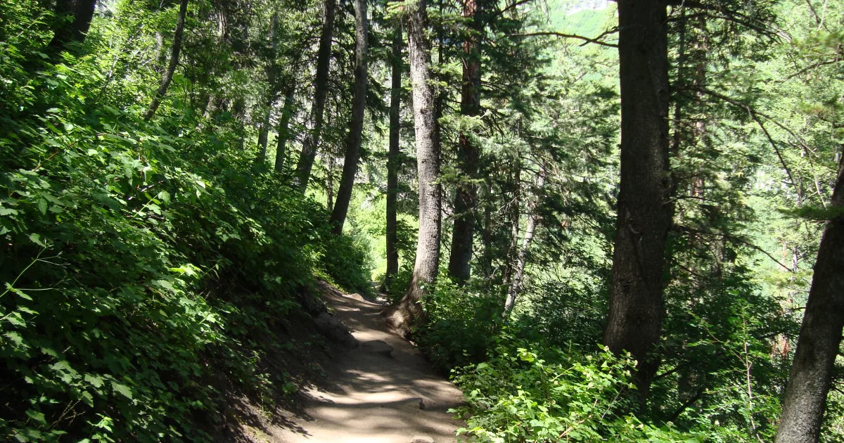 Cascade Falls: A High-Elevation Cedar Breaks Waterfall