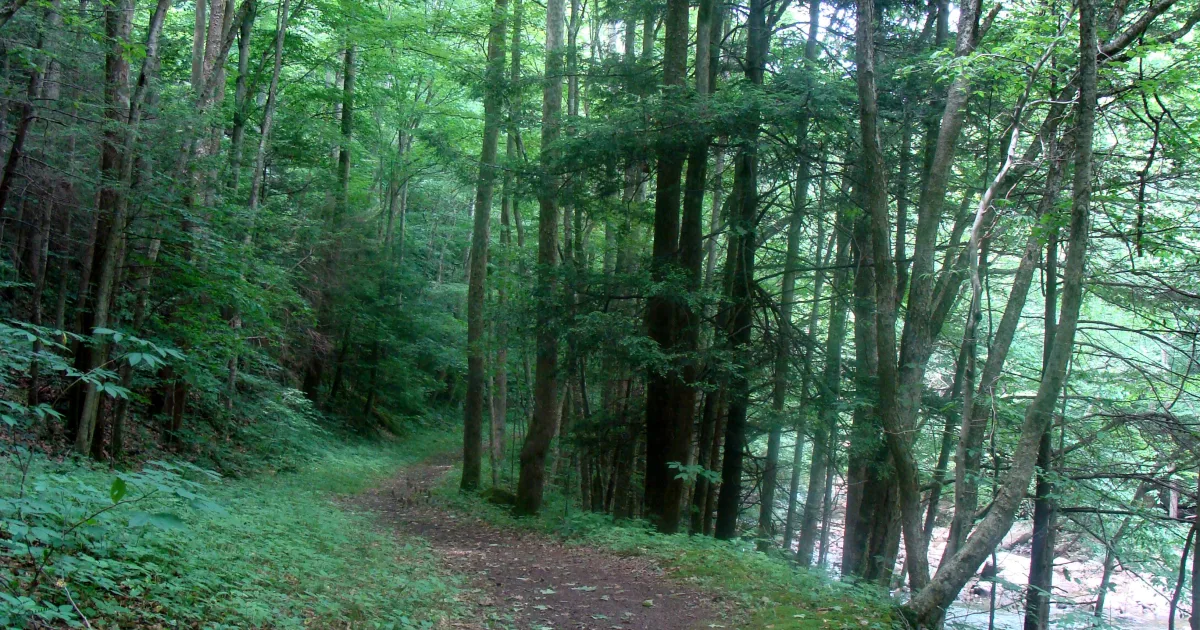 Cascade Park Gorge Trail