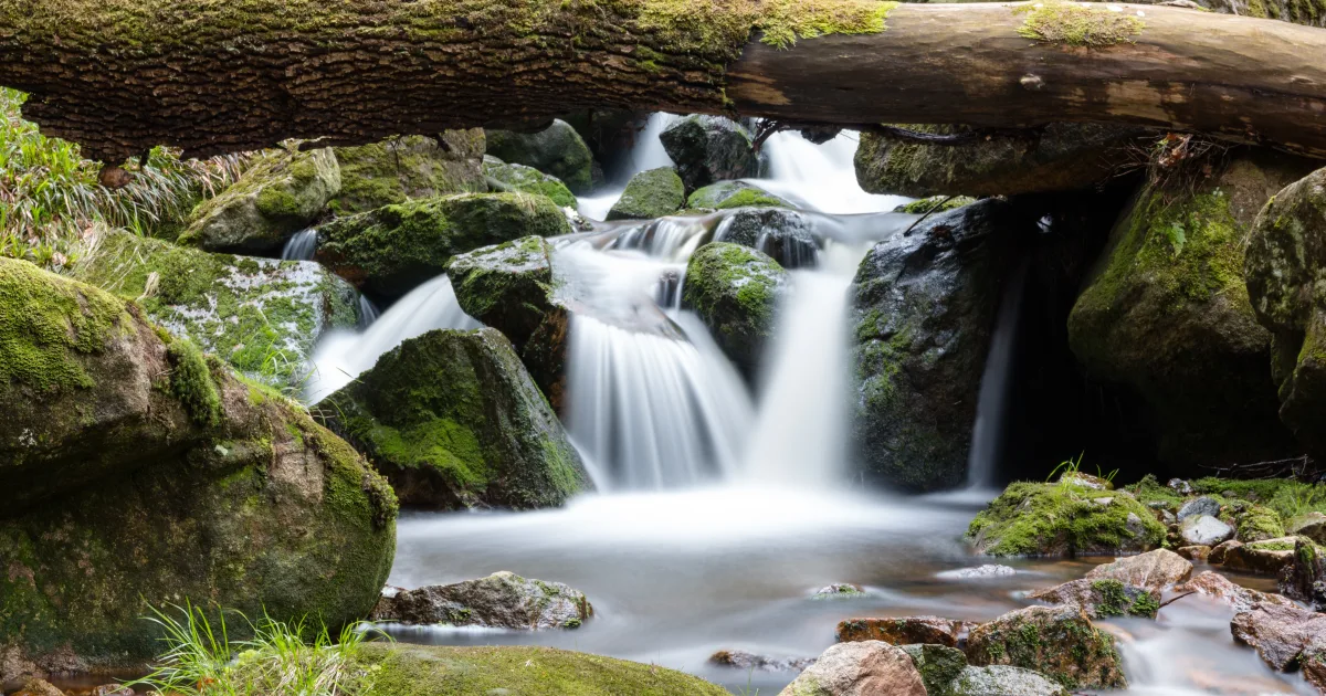 Cascade Springs Nature Trail — Heber City, Utah