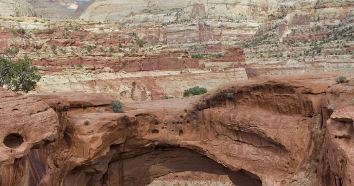 Cassidy Arch Trail — Capitol Reef