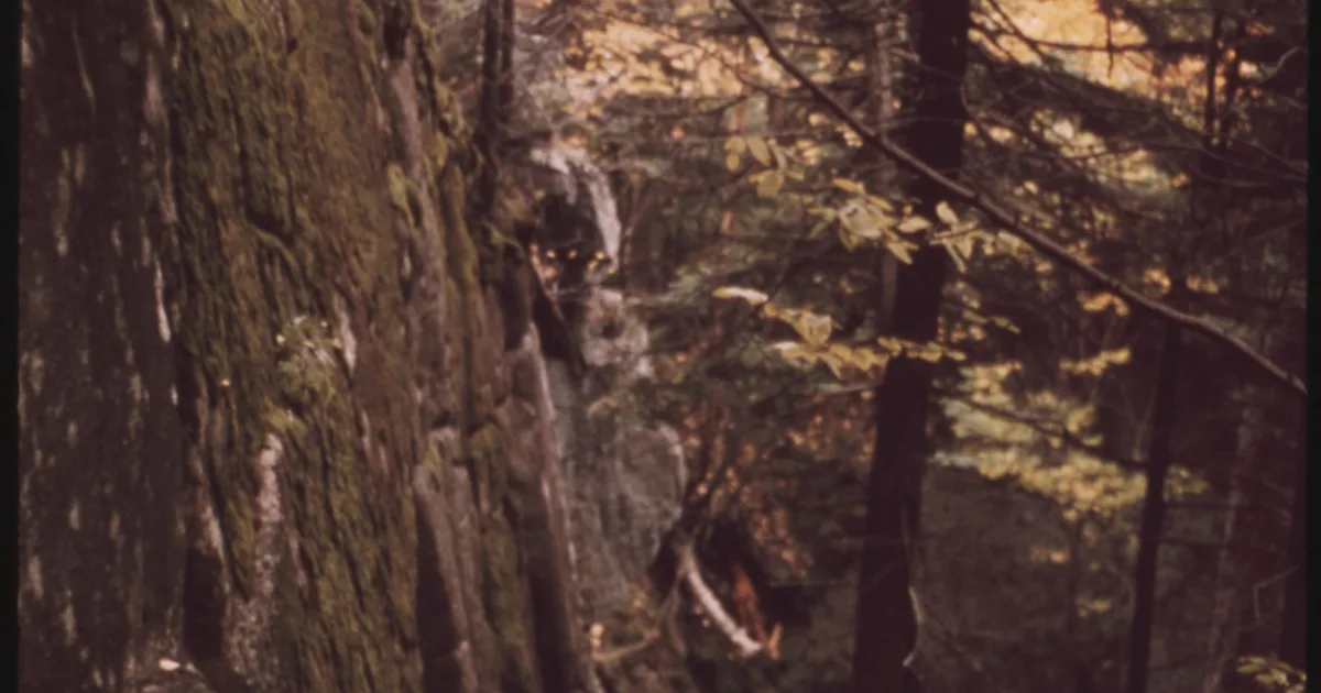 Cat Mountain — Adirondacks