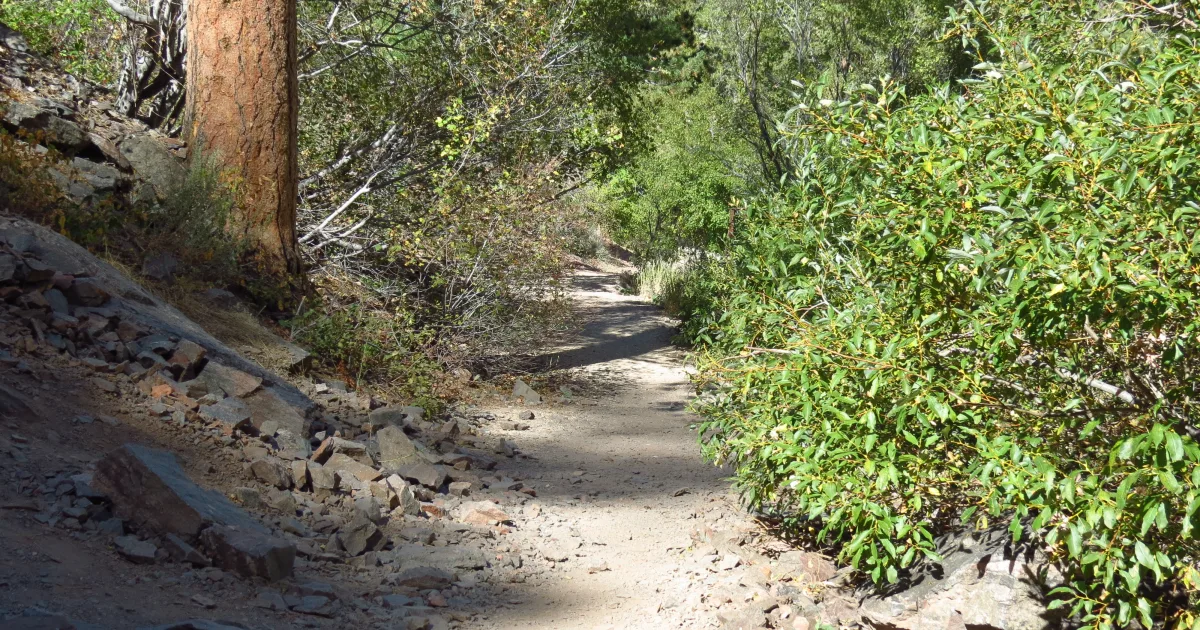 Cathedral Caverns Trail