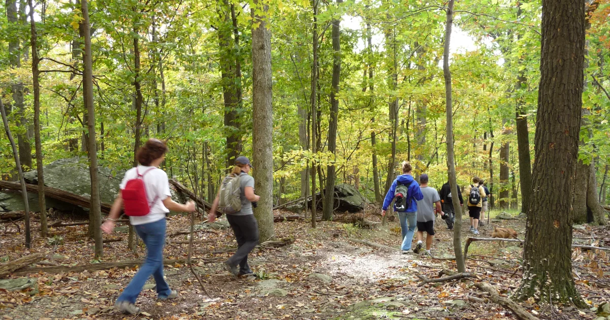 Catoctin Mountain — Blue Blaze Trail