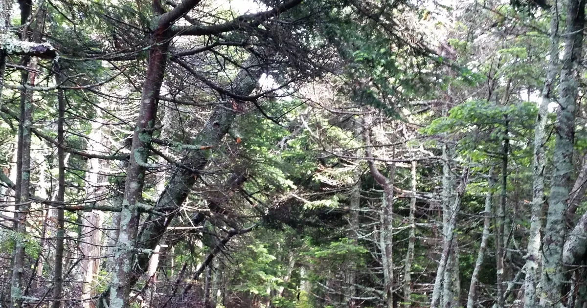 Catskills: Slide Mountain Loop — Oliverea, New York