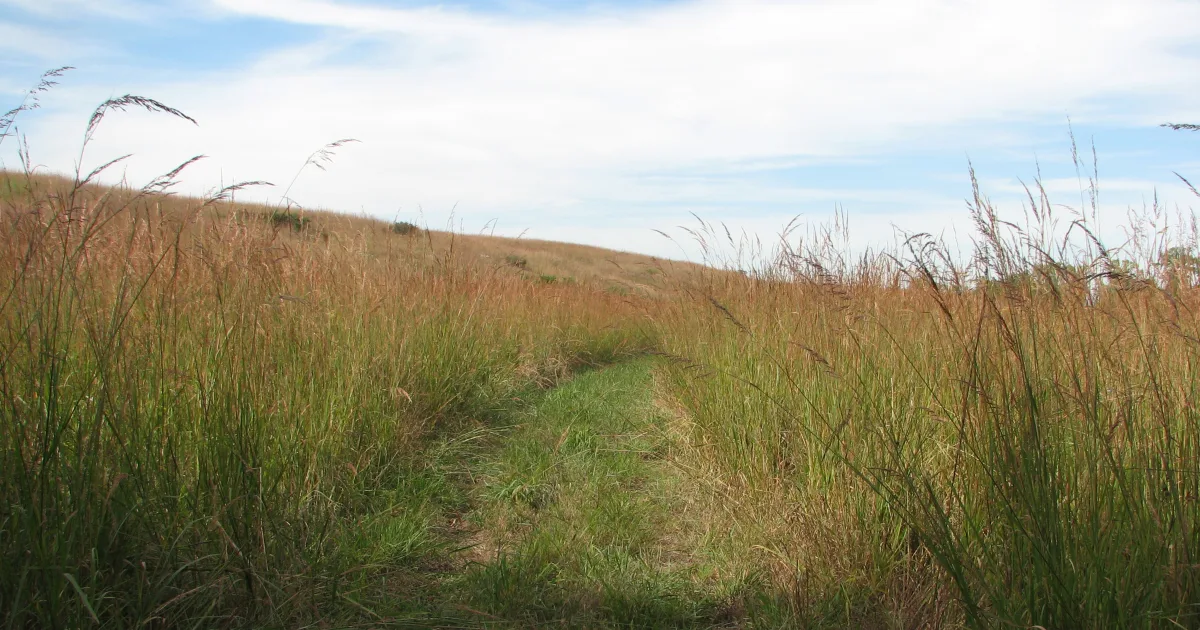 Centennial Prairie Trail