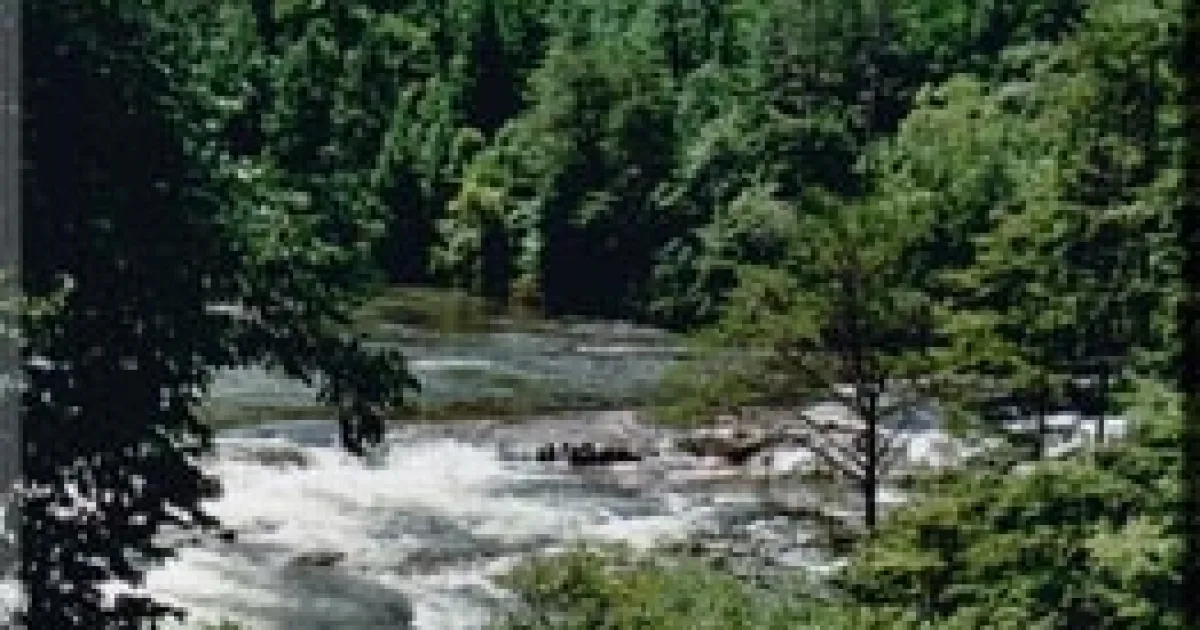 Chattooga River Trail — Sumter National Forest, SC