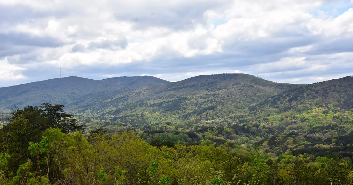 Cheaha Mountain Loop