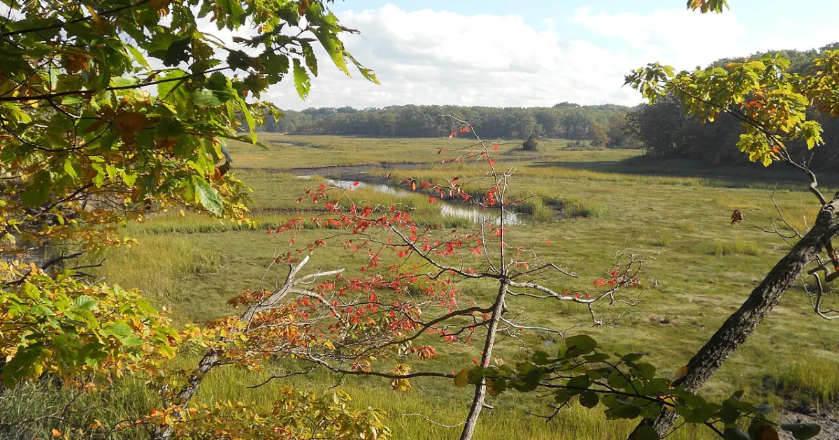 Cheesequake State Park Trail