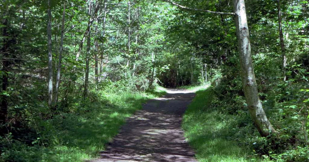 Chequamegon-Nicolet NF: Rock Lake Trail MTB — Cable, Wisconsin