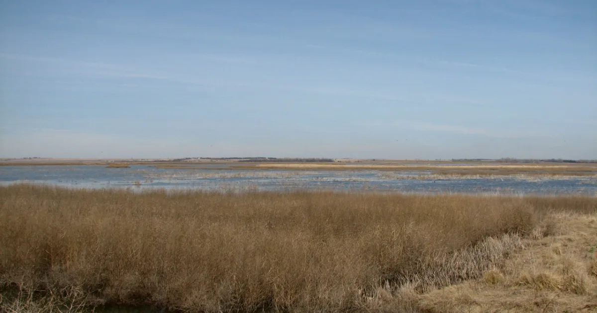 Cheyenne Bottoms Trail