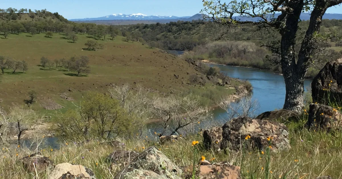 Cheyenne Bottoms Wildlife Area Trail — Great Bend, Kansas