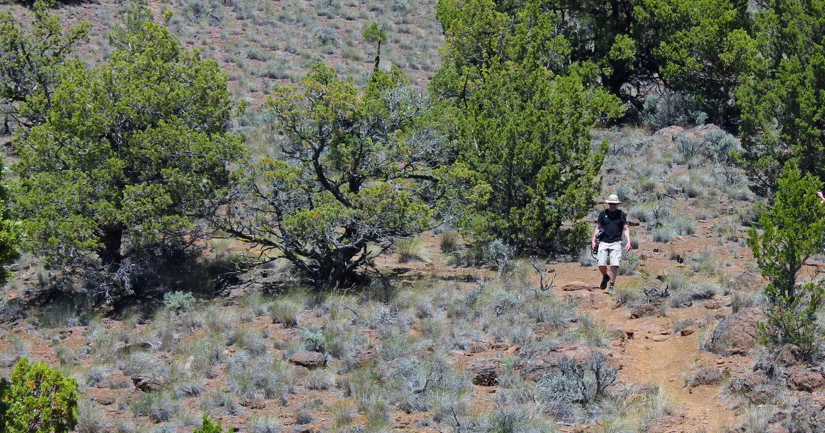 Chimney Rock Trail