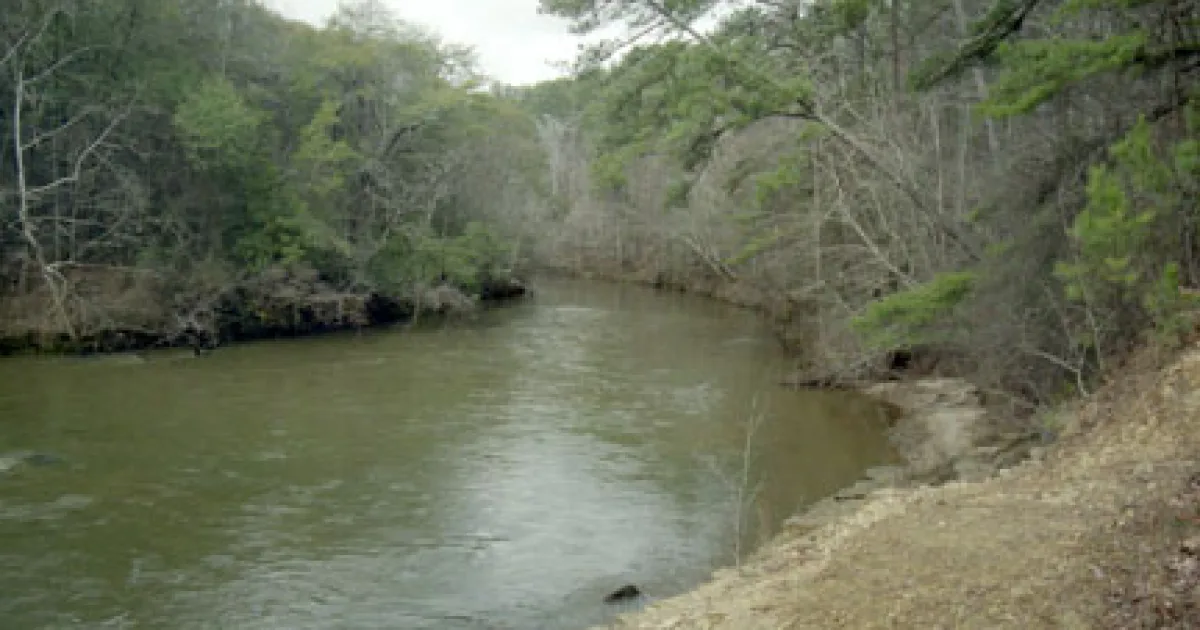 Chunky River Trail
