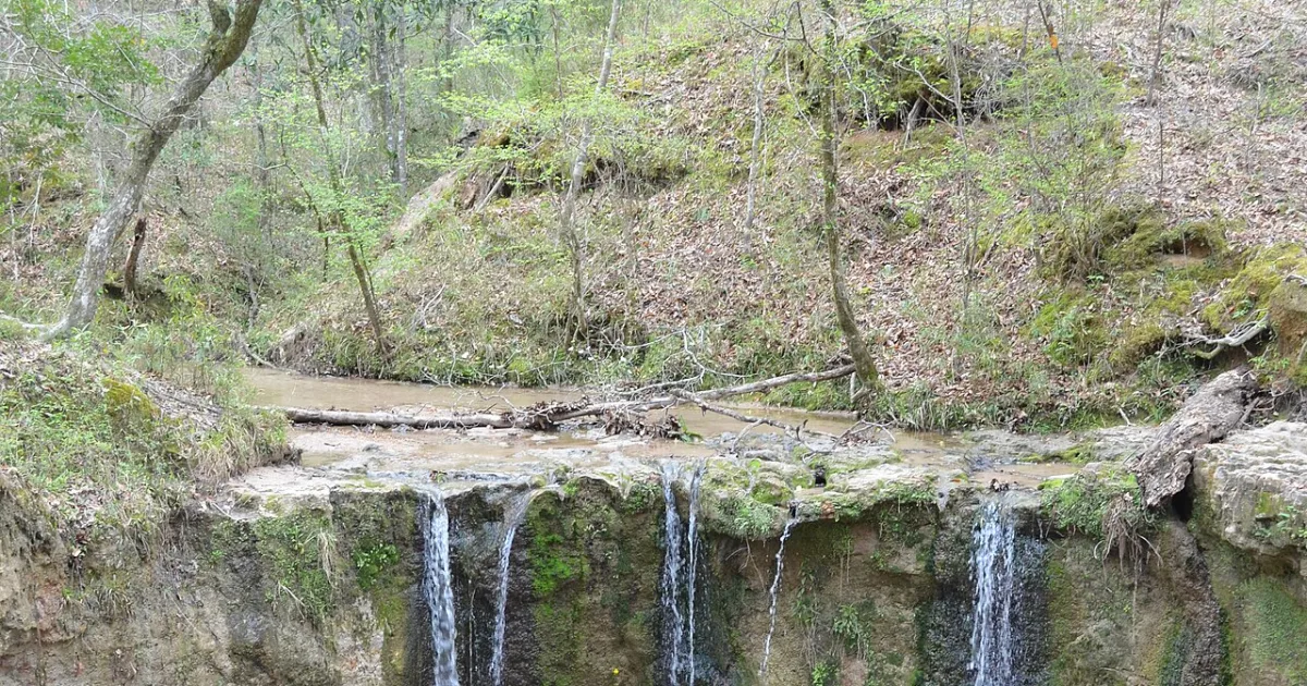 Clark Creek Natural Area Trail
