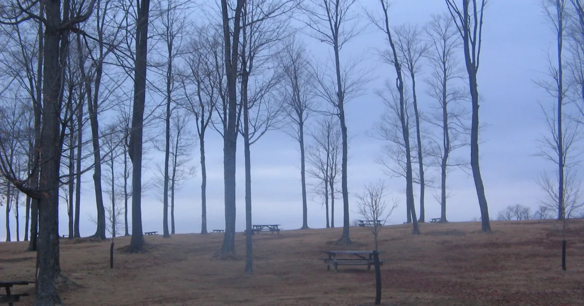 Clearfield County Cherry Springs Dark Sky Trail
