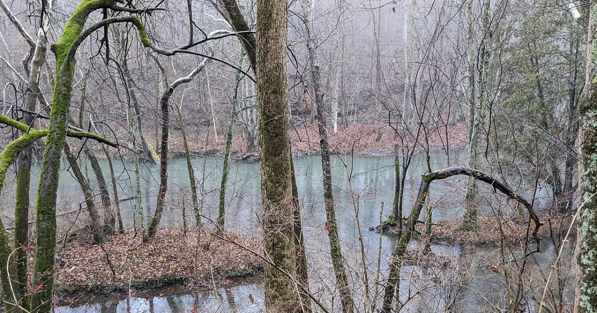 Clifton Gorge Loop