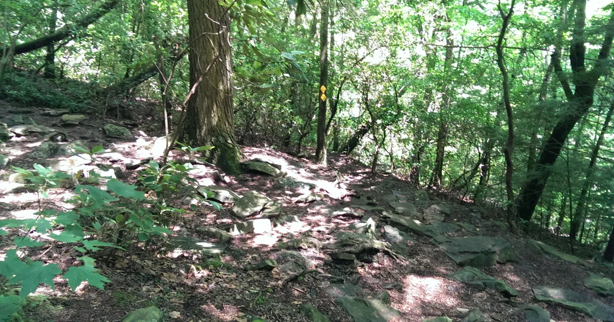 Cloudland Canyon Trails — Cloudland Canyon SP, GA