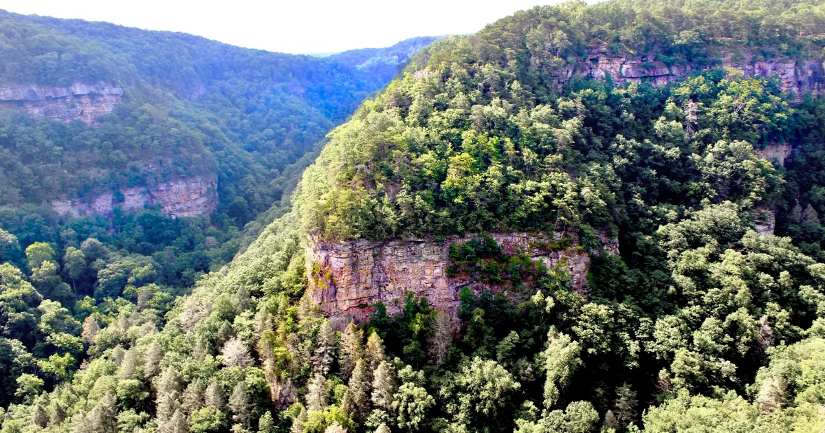 Cloudland Canyon Waterfall Backcountry Trail