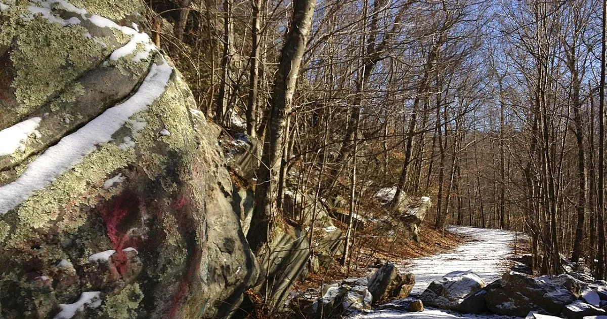 Cockaponset State Forest Trail