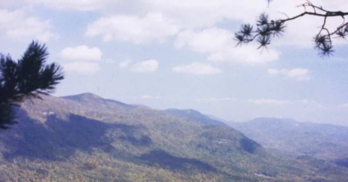 Coldspring Branch Trail — Jones Gap State Park, SC