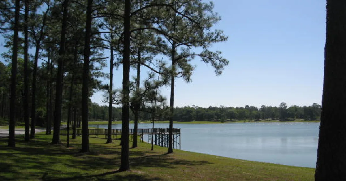 Conecuh National Forest Trail
