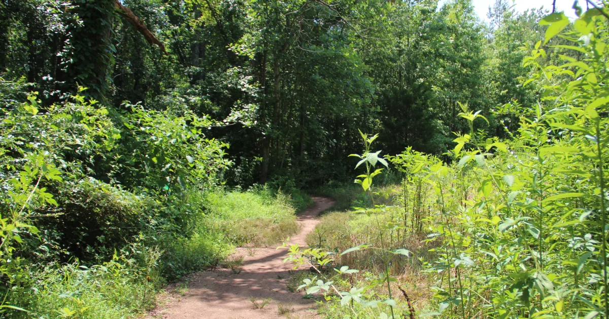 Conestee Nature Park Loop