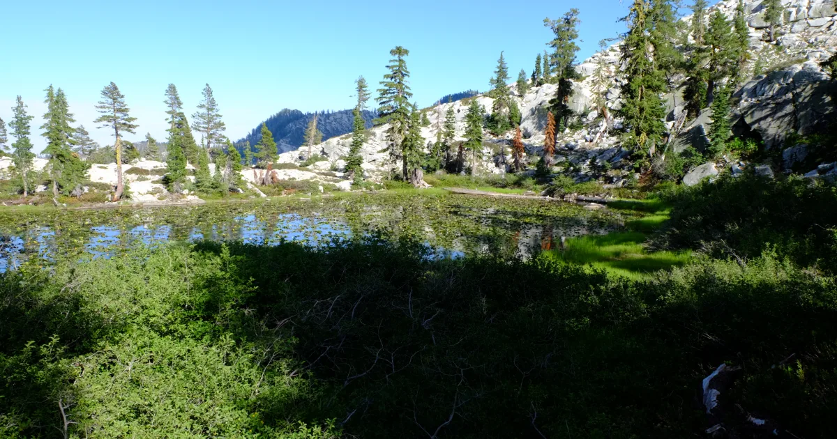 Conway Rec Trail
