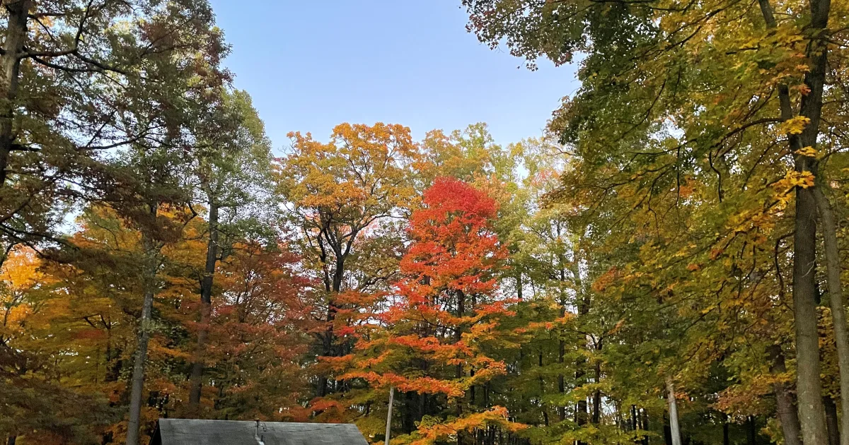 Cooper's Rock State Forest MTB