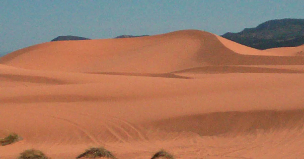 Coral Pink Sand Dunes Trail