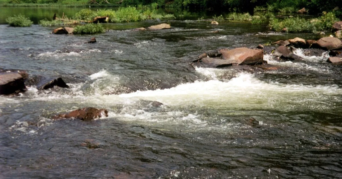 Cossatot River Trail