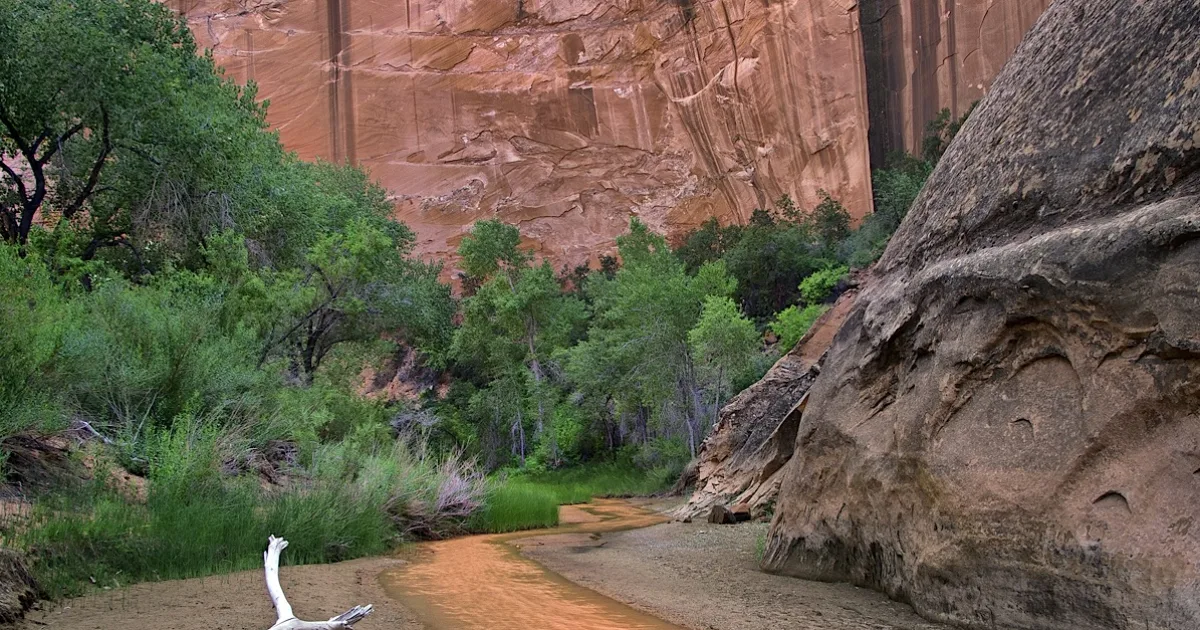 Coyote Gulch — Escalante