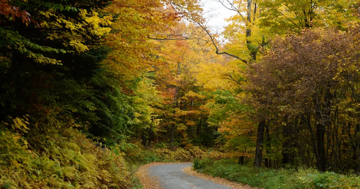 Craftsbury Outdoor Center Gravel