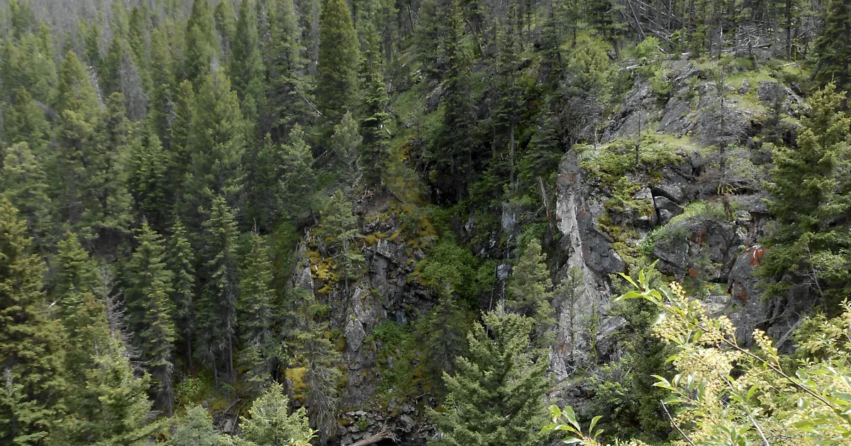 Crow Creek Falls Trail