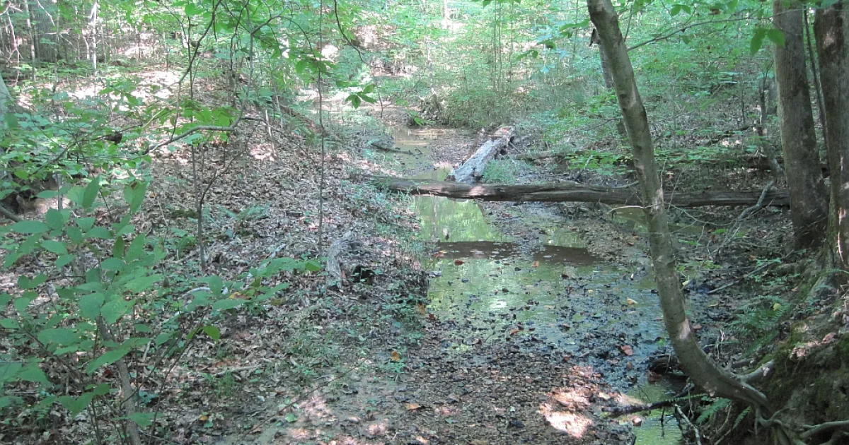 Dagmar Wildlife Management Area