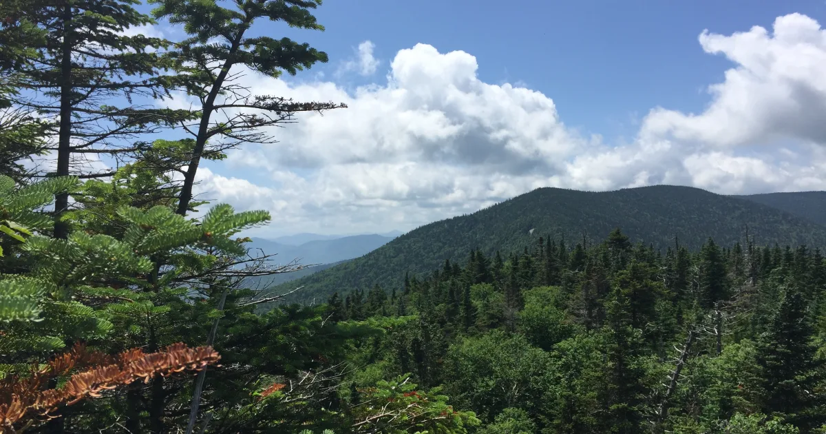 Deer Leap Mountain Trail