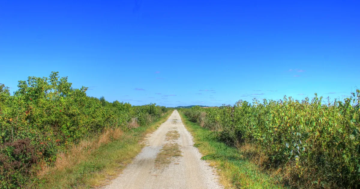 Deerfield Lake Loop