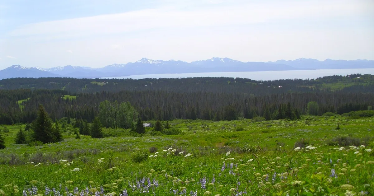 Diamond Ridge Trail