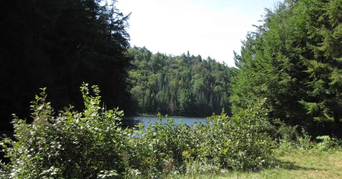 Dickinson Nature Center Trail