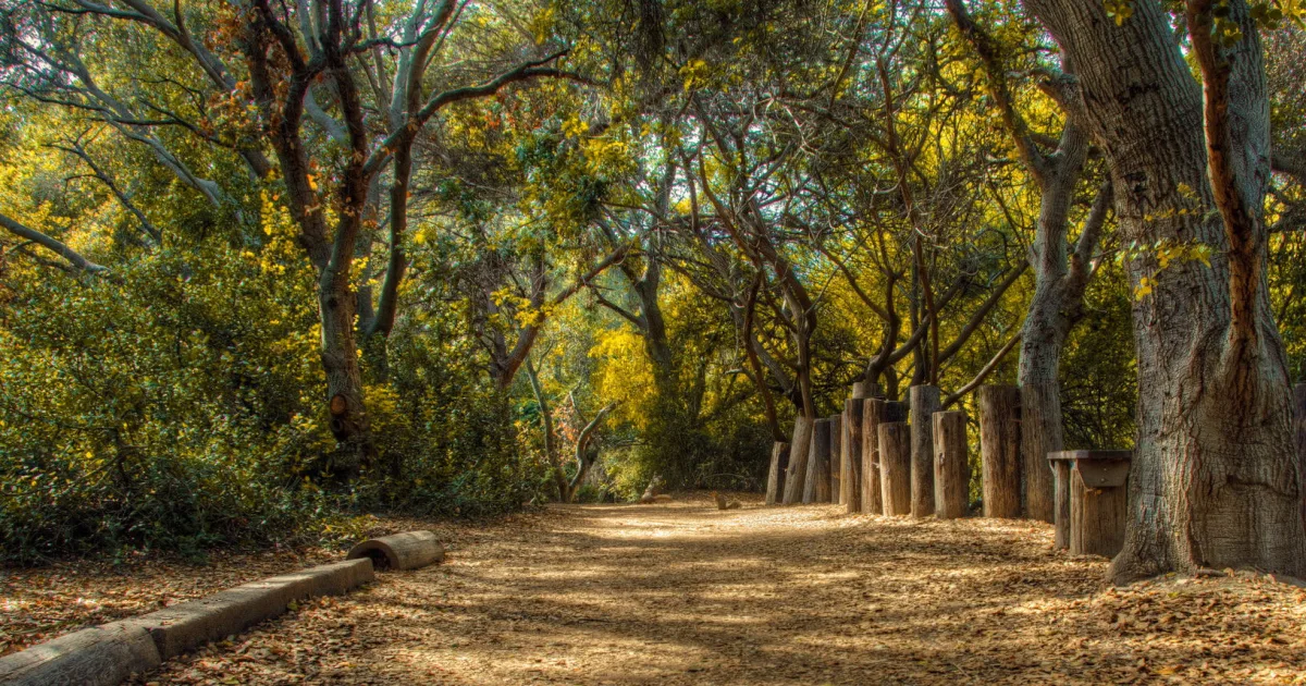 Discovery Trail — Long Beach Peninsula